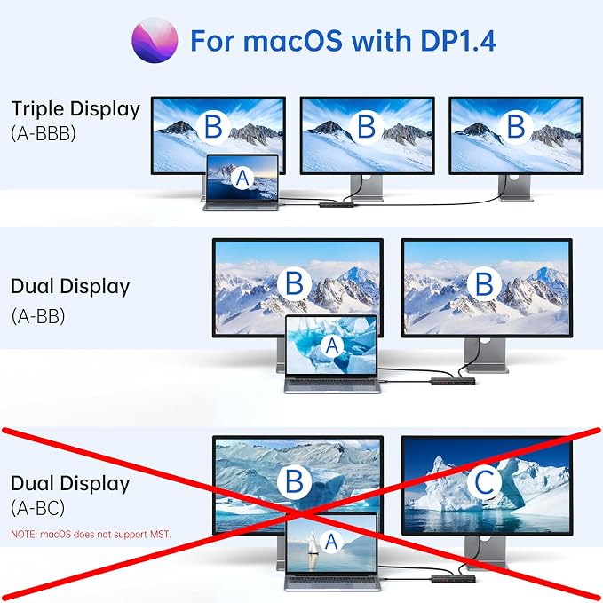 13-in-1 Docking Station Dual Monitor 4K, LIONWEI USB C Dock for Laptop Mac | Dual HDMI+DP, 4K, 10Gbps, 100W PD, Ethernet, Audio, SD/TF, 6 USB C/A Ports, USB C Hub for MacBook/Dell/HP/Lenovo
