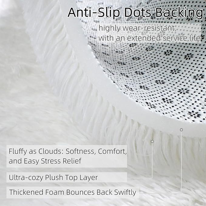 Shag White Rug Small 2x3 Area Rugs for Bedroom Dorm Living Room - Non Slip Ultra Fluffy Shaggy Bedside Area Rugs for Kids Room, Girls Room, Study, Office, Entryway, Playroom, Modern Carpet