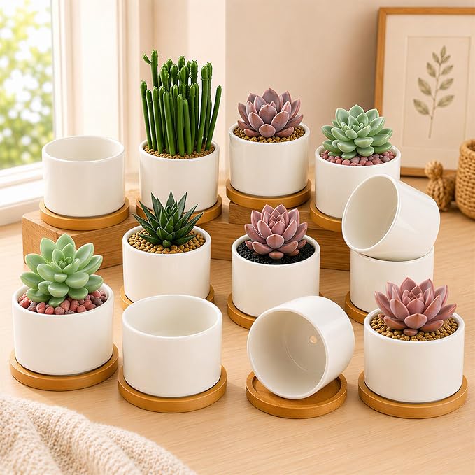 ZOUTOG Succulent Pots 3.1 Inch,Succulent Planters 12 Pack,Small Pots for Plants with Drainage and Tray,White Ceramic Flower Planters for Indoor Plants,Home,Office,Desk
