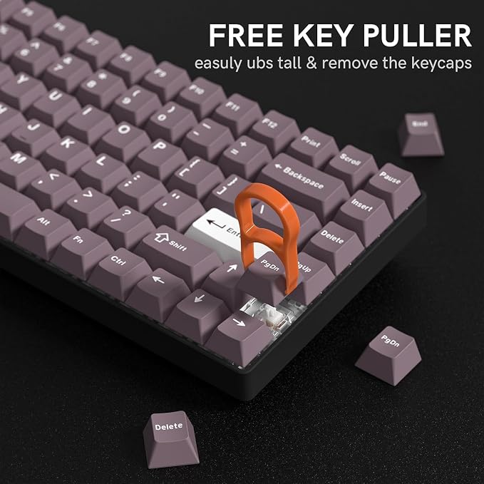 PBT Keycaps Set, Doubleshot 123 Key Caps,Cherry Profile Custom Keycap for 61/64/68/84/87/100/104/108 Mechanical Keyboard, Compatiability for 60 65 75 100 Percent Keyboads (Purple)