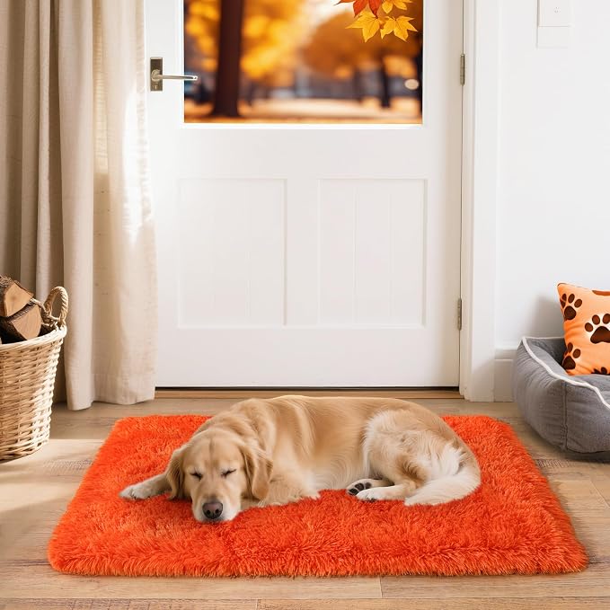 2x3 Small Rugs for Bedroom, Soft Fluffy Shaggy Bedside Area Rugs for Living Room, Indoor Floor Carpet for Kids Girls and Boys, Nursery Rooms, Home Decor Aesthetic, Orange