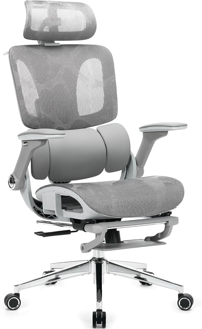 Ergonomic Mesh Office Chair with Footrest, High Back Desk Chair with 4D Armrests, 3-Zone Dynamic Lumbar Support, Ergonomic Office Chair with Wheels (Silver Gray)