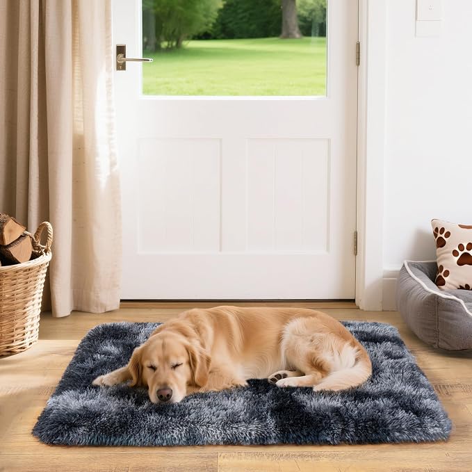 2x3 Small Rugs for Bedroom, Soft Fluffy Shaggy Bedside Area Rugs for Living Room, Indoor Floor Carpet for Kids Girls and Boys, Nursery Rooms, Home Decor Aesthetic, Tie-Dyed Blue Grey