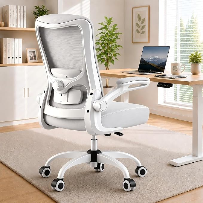 Ergonomic Office Chair for Long Hours, Adjustable Padded Lumbar Support for Lower Back Relief, 330 lb Capacity, Comfortable Computer Desk Chair for Home Office, Work & Study