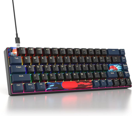 60 Percent Gaming Keyboard Mechanical with Linear Red Switch, 65% Wired Ultra-Compact Mini Keyboard Rainbow with PBT Keycaps for Ps4/Ps5/Xbox(68 Blue)