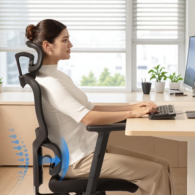 SIHOO M56C Ergonomic Office Chair, Desk Chair with Armrests, Computer Chair with Dual Back Design and Adaptive Dynamic Lumbar Support, 2 Packs, Dark Black