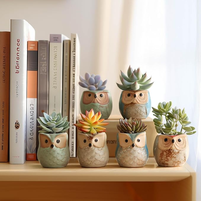 T4U Owl Ceramic Succulent Planter Set of 6, 2.5 Inch - Mini Cute Animal Pots with Drainage Holes, Small Flower Planters for Windowsill Desk Decor, Gift for Owl Lovers