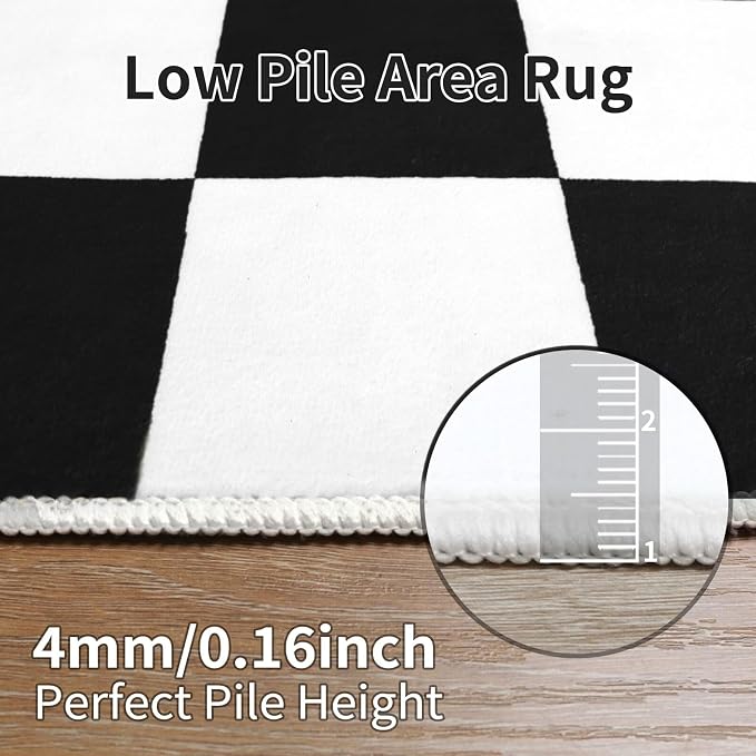 Terrug Black and White Checkered Rug for Bedroom,3x5 Area Rugs Washable with Non Slip for Living Room,Soft Low Pile Stain Resistance Retro Carpet for Dorm Kids Room