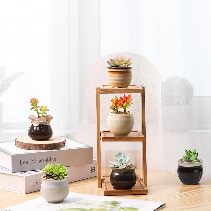 T4U Mini Ceramic Succulent Pots Set of 6, Round Tiny Planters with Drainage Holes and Grid Pads, Small Cactus Flower Pots for Windowsill Desk Decor, Gift for Plant Lovers
