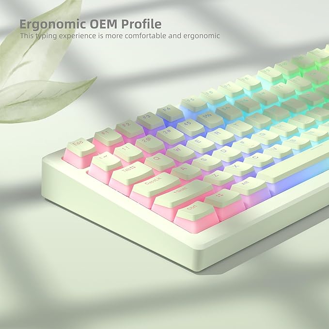 Womier Shine Through PBT Keycaps, Green Pudding Key caps, OEM Profile Double Shot Custom Keyboard Keycaps 130-key Set for 60% 65% 75% 100% Cherry Gateron MX Mechanical Keyboard-Matcha Green