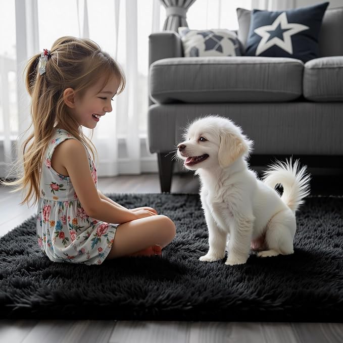 Rugs for Bedroom 4x6, Alfombras para Salas Shag Plush Soft Area Rug, Shaggy Carpets for Livingroom,Home Decor Aesthetic(4 x 6, Black)