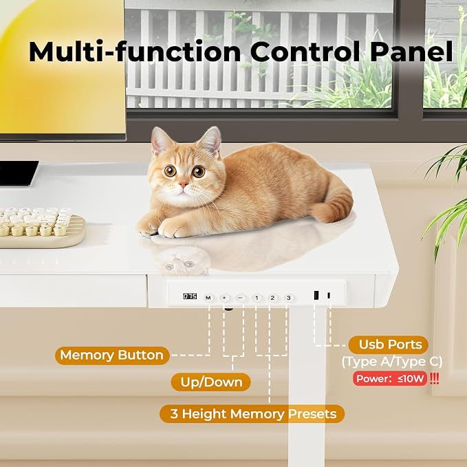 Glass Electric Standing Desk with Drawer, 40" x 20" Whole Piece Samll Sit Stand Table, Height Adjustable Desk with Storage & USB Ports, Quick Install Home Office Computer Desk, White