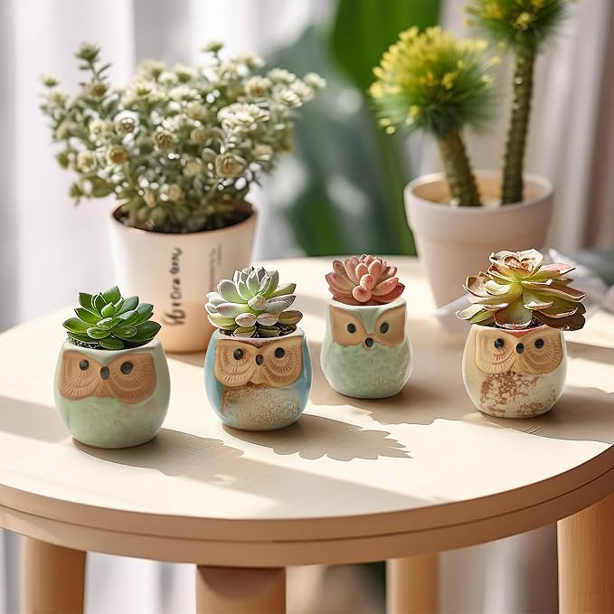T4U Owl Ceramic Succulent Planter Set of 12, 2.5 Inch - Mini Cute Animal Pots with Drainage Holes, Small Flower Planters for Windowsill Desk Decor, Gift for Owl Lovers