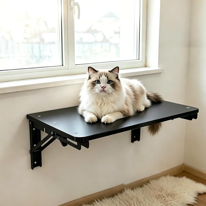 Wooden Folding Shelf Wall Mounted for Small Space, Wall Table for Living Room Bedroom Decor, Home Office Fold Down Desk, Media Shelves with Heavy-Duty Brackets Holds Up to 30lbs, 21.6"*11.8", Black
