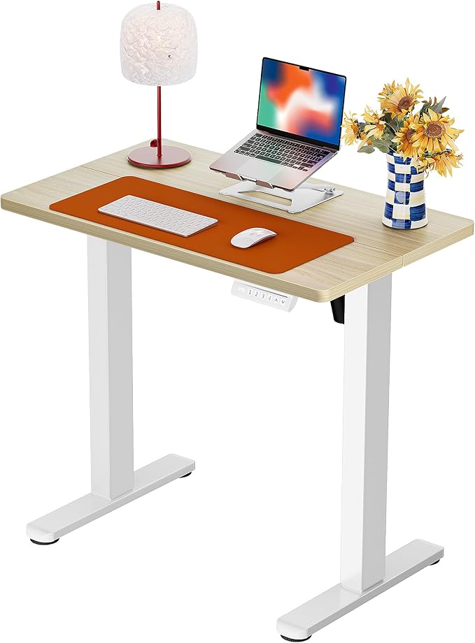 ErGear Height Adjustable Electric Standing Desk, 32 x 19 Inches Sit Stand up Desk, Memory Computer Home Office Desk, Natural