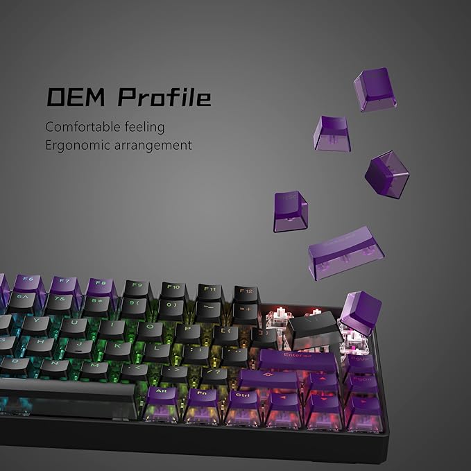 Womier Pudding Keycaps 60 65 75 100 Percent - PBT Shine Through Keycaps,165 Keys Key Cap Set, OEM Profile Custom for Cherry Gateron MX Switches Mechanical Keyboard, Black Purple