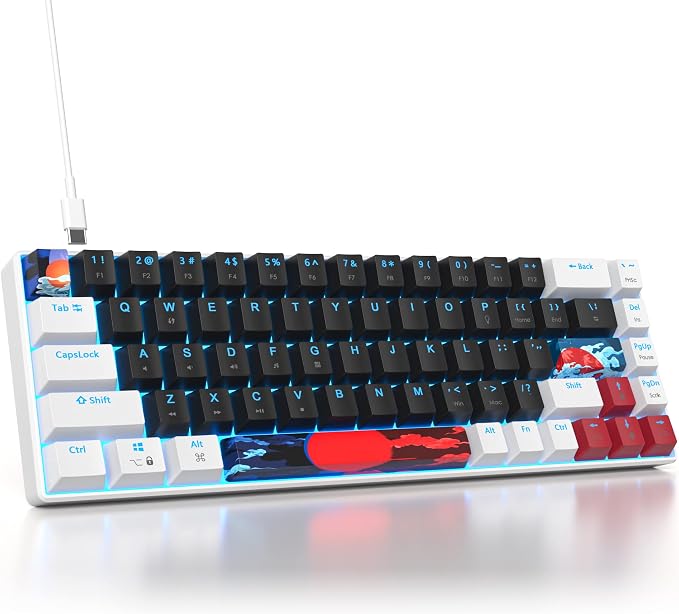 60 Percent Gaming Keyboard 68 Keys Mechanical Keyboard LED Backlit Compact Wired Keyboard with Red Switch for Windows PS4/5 Xbox Gamer(White-Black)