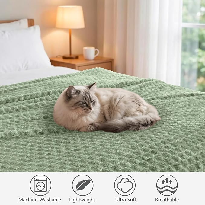 Vessia Flannel Fleece Throw Blanket(50x70 inch), 3D Jacquard Sage Green Fuzzy and Warm Blanket for Couch,Sofa,Bed,Chair, 300GSM Super Soft Touch Cozy Lightweight Throw for All-Season Home Decor