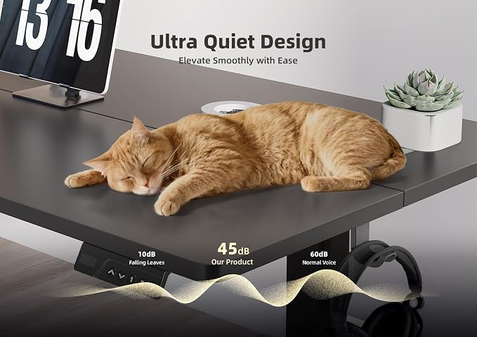 YDN Electric Standing Desk Adjustable Height, 32 x 19 Inches Stand up Desk with Cable Management, Home Office Desks with Splice Board & Black Frame, Black Top