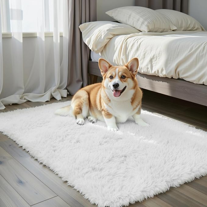 Small Rugs for Bedroom 2x3 Fluffy, Soft Fuzzy Area Rug for Living Room Dorm, Non Slip Shag Rugs for Girls Boys Bedroom, Soft Carpet, Modern Home Decor Aesthetic(2 x 3, White)