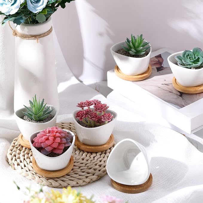 Domensi 12 Pack Succulent Planter Pots 3 Inch Small Plant Pots Mini Ceramic Succulent Planter Holder with Drainage Holes and Bamboo Saucers (White)