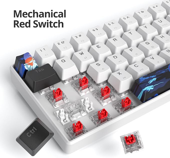 60 Percent Gaming Keyboard 61 Keys Mechanical Keyboard Ultra Compact Wird Keyboard LED Backlit with Red Switch for PC Laptop Gamer(61 White)