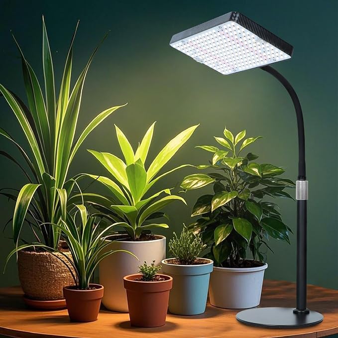 FECiDA 2026 Desk Grow Lights for Indoor Plants, Full Spectrum Tabletop Grow Lights for Seed Starting, Seedlings, Bonsai, 5 Modes 4/8/12/16/20 Hr Timer, 25 Watt Bright Enough, 16"-24" Height Adjustable