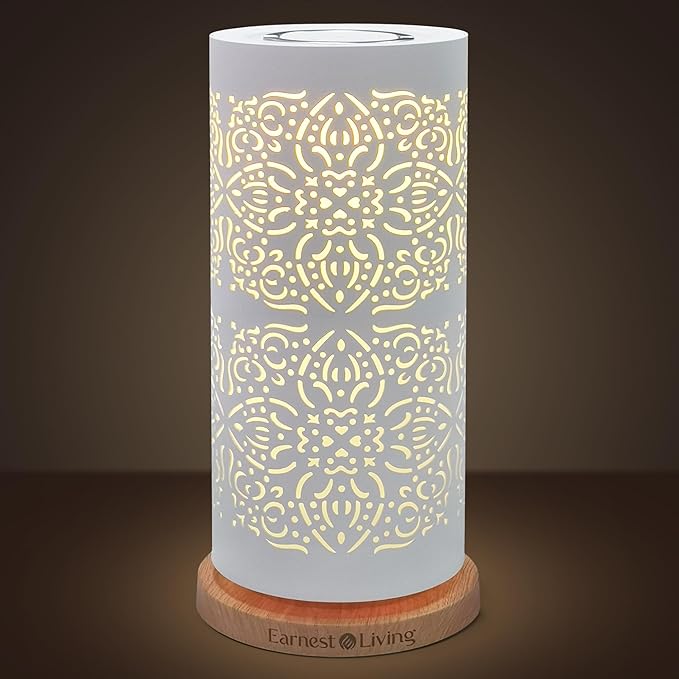Earnest Living Waterless Diffuser 100ml Nebulizing Diffusion System for Large Ambient Space Studio Home Office Hotel Spa