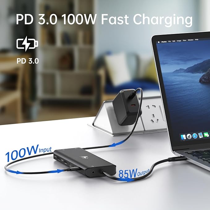 13-in-1 Docking Station Dual Monitor 4K, LIONWEI USB C Dock for Laptop Mac | Dual HDMI+DP, 4K, 10Gbps, 100W PD, Ethernet, Audio, SD/TF, 6 USB C/A Ports, USB C Hub for MacBook/Dell/HP/Lenovo