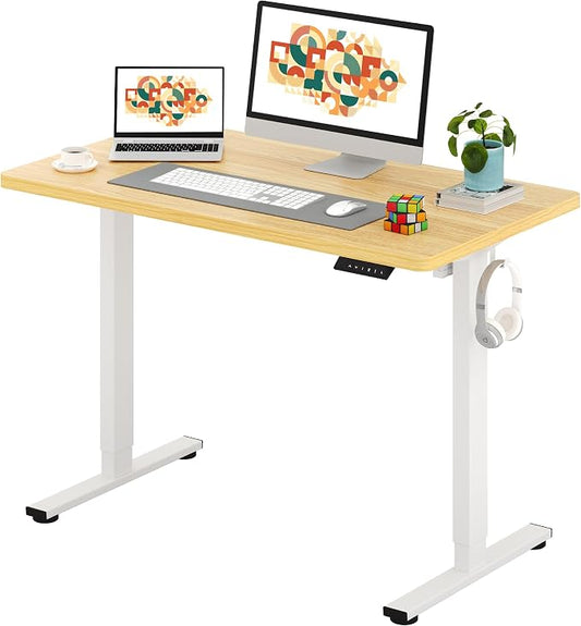SANODESK One-Piece Electric Standing Desk, Seamless 48 x 24'' Ergonomic Height Adjustable Sit Stand Desk with Memory Presets for Home Office Computer Workstation, White Frame/Natural Top