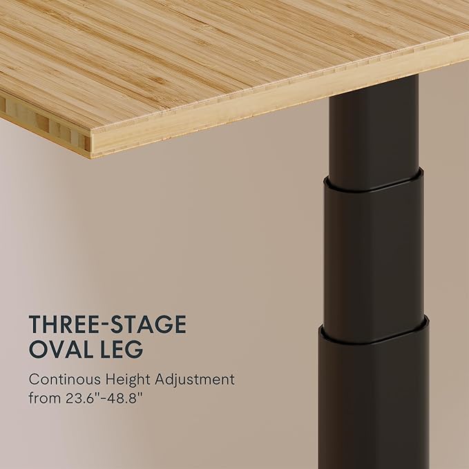 FLEXISPOT E6 Pro Oval Leg Dual Motor 3 Stages Bamboo Whole-Piece Electric Standing Desk 60x30 Inch Board Height Adjustable Electric Sit Stand Up Desk (Black Frame + Bamboo Whole-Piece Desktop)