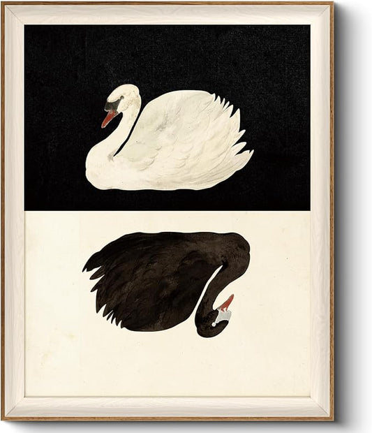VIYYIEA Framed Wall Art for Living Room, Swan Canvas Prints, Vintage Home Decor, Animals Painting Picture, Bathroom Wall Decor Gifts for Friends or Family - 20L x 16W
