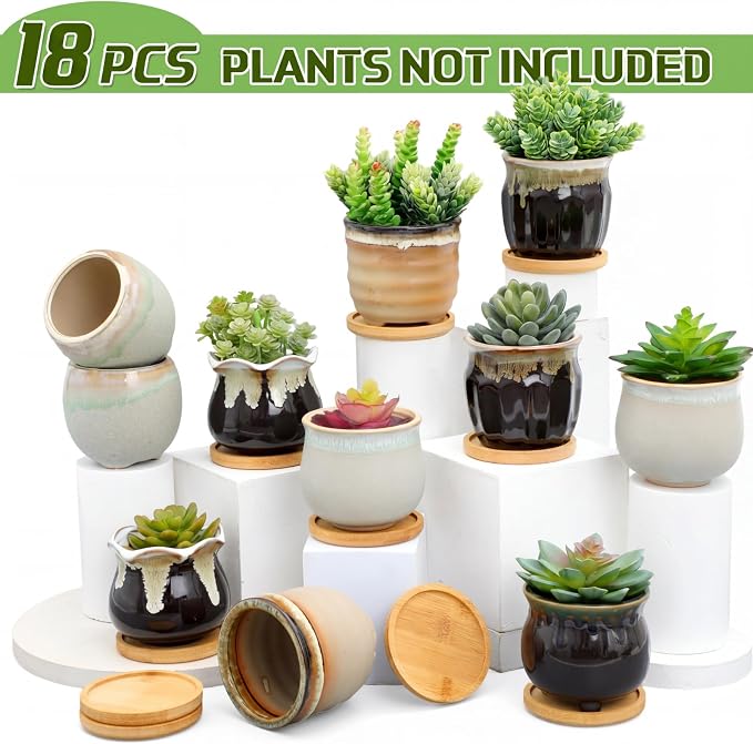 Remerry 18 Pcs Small Succulent Pots Bulk with Drainage 3.5 Inch Assorted Mini Ceramic Succulent Planters Pot with Coaster Bamboo Plant Tray Planting Pots for Home Office Garden