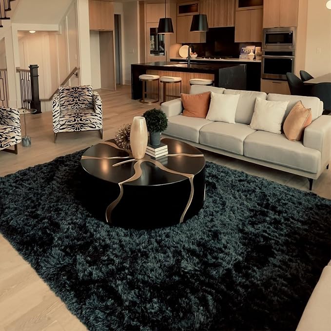 HOMORE Bedroom Rug 3x5 Black Rugs for Living Room, Luxury Fluffy Area Rugs for Indoor Entrance, Non Slip Kids Rug for Nursery Girls Boys Dorm