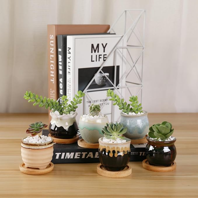 T4U Mini Ceramic Succulent Pots Set of 6, Round Tiny Planters with Drainage Holes and Grid Pads, Small Cactus Flower Pots for Windowsill Desk Decor, Gift for Plant Lovers