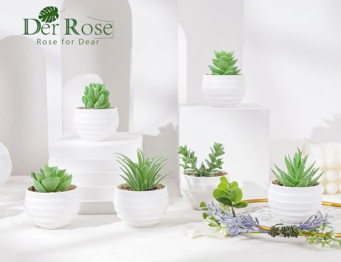 Der Rose 6 Pack Fake Plants Small Realistic Succulents Plants Artificial for Home Room Decor Indoor