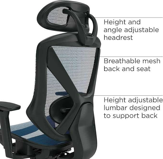 STAPLES Ergonomic Task Chair, Mesh, Ergonomic, Lumbar Support, Blue