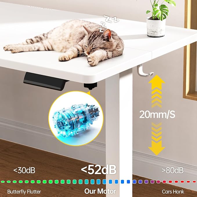 Veken 63x23.6 Inch Large Electric Standing Desk, Heights Adjustable,Sit to Stand Up, Work Home Office Computer Table for Walking Pad, Wooden Desktop Desks, White