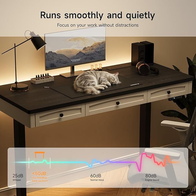 ONBRILL Standing Desk with 3 Drawers, 63 x 24 Inch Electric Height Adjustable Desk with Storage & Outlets, for Computer Workstation, Home Office, Retro Curved Table Corner & Drawers, Black