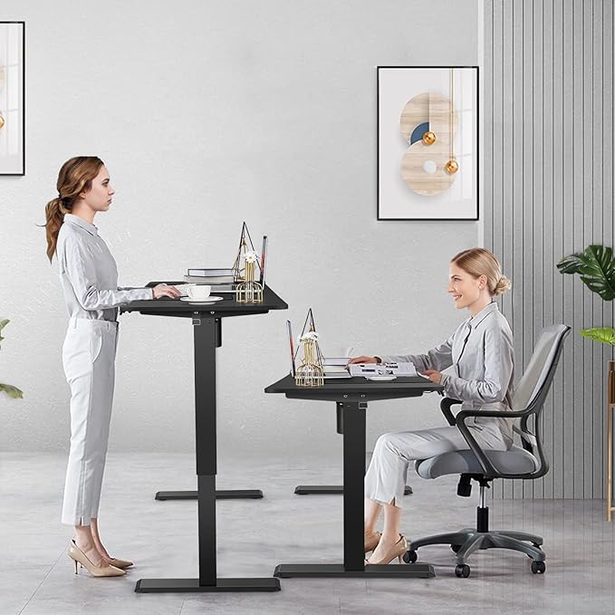 farexon 48 x 24 inch Standing Desk Electric Adjustable Height with Charging Station, Stand up Desk with Ergonomic Workstation, Preset Heights Home Office Gaming Computer Workstations Table(Black)