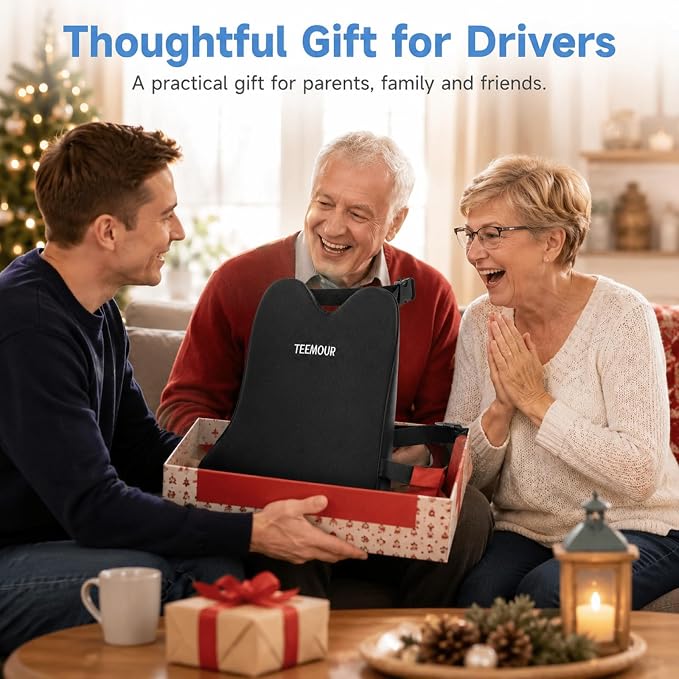 Teemour Lumbar Support Pillow for Car Seat, Memory Foam Back Support Pillow with Adjustable Straps, Medium Soft Car Back Cushion for Driving, Truck, SUV, Office Chair, Black