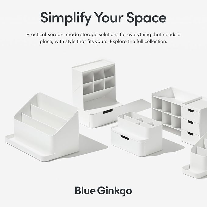 BLUE GINKGO Desk Organizer Tray, Beige, Made in Korea | Double-Sided. Sloped Design. Easy Access.