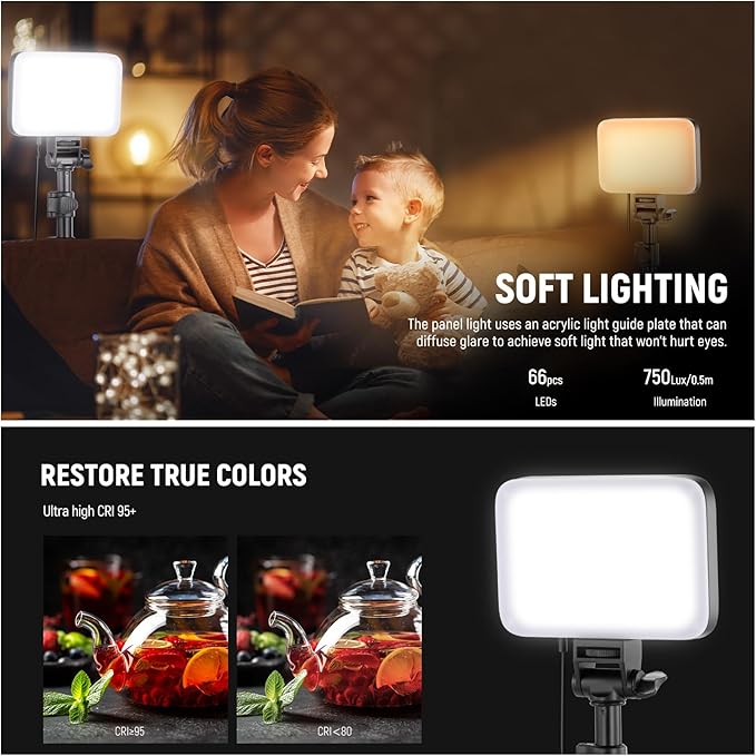 NEEWER Basics 2 Pack LED Video Light Panel Lighting Kit, Bi Color Dimmable Portable Studio Lights with Stands & Filters, 3200K-5600K 750lux CRI95 for Video Recording Live Streaming Photography, BP66