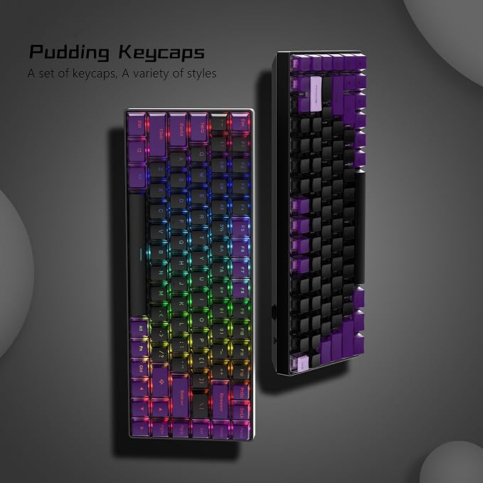 Womier Pudding Keycaps 60 65 75 100 Percent - PBT Shine Through Keycaps,165 Keys Key Cap Set, OEM Profile Custom for Cherry Gateron MX Switches Mechanical Keyboard, Black Purple