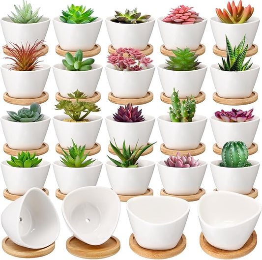Domensi 24 Pack Succulent Planter Pots 3 Inch Small Plant Pots Mini Ceramic Succulent Planter Holder with Drainage Holes and Bamboo Saucers (White)