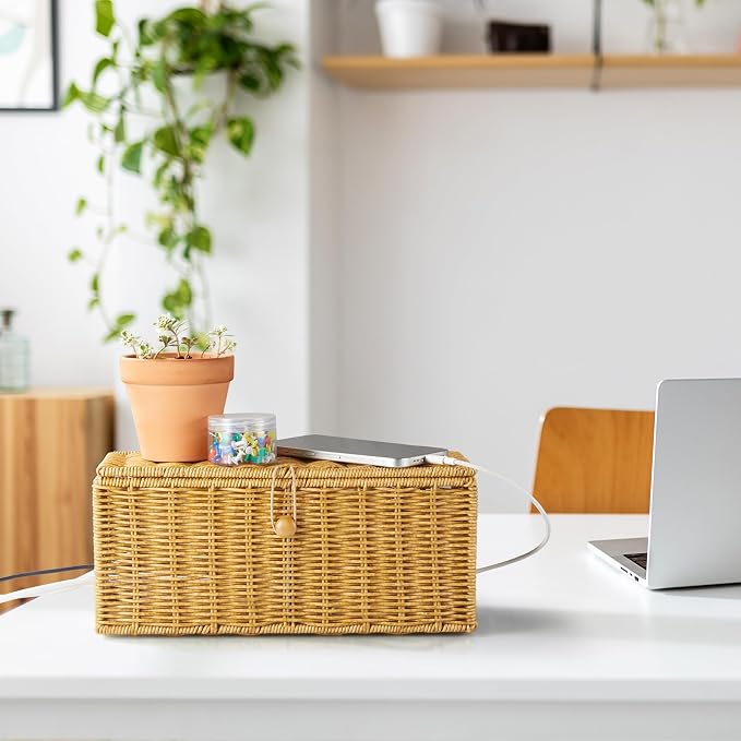 Cable Management Box, Handwoven Synthetic Rattan Cable Organizer, 2 Side Open Slots Cords Hider Box, Under Desk Cord Organizer for USB Wire, TV PC Charger & Power Strip, Natural