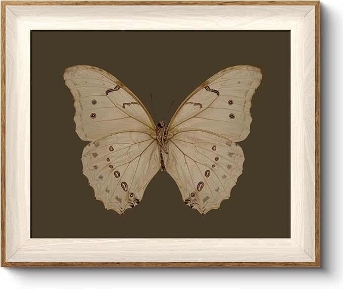 VIYYIEA Framed Butterfly Wall Art for Living Room, Vintage Cream Butterfly Canvas Painting, Rustic Nature Themed Picture Home Decor for Bathroom Bedroom Entryway, 10×12inch