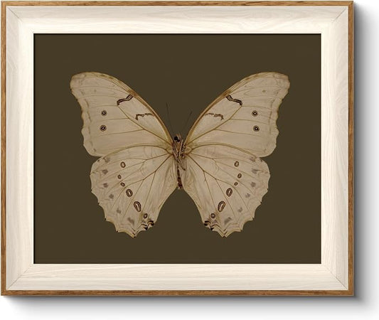 VIYYIEA Framed Butterfly Wall Art for Living Room, Vintage Cream Butterfly Canvas Painting, Rustic Nature Themed Picture Home Decor for Bathroom Bedroom Entryway, 10×12inch