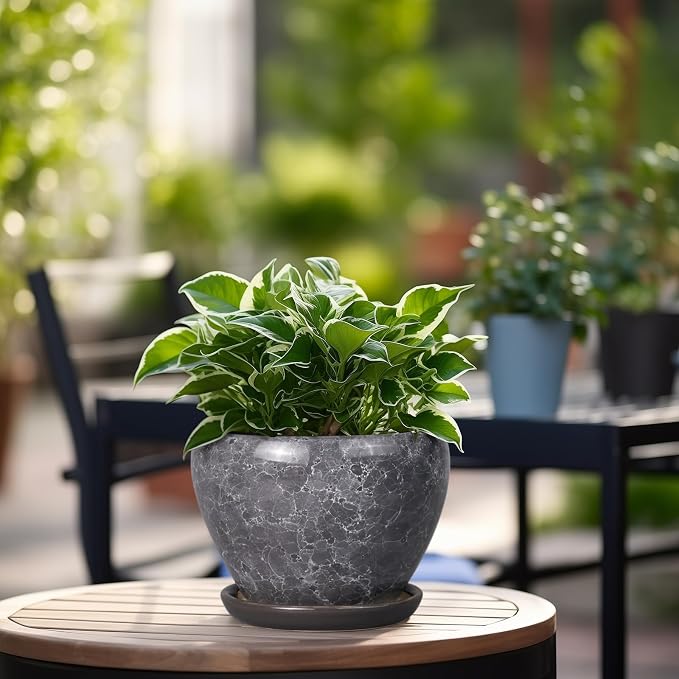 Ceramicfor Ceramic Planter - 6 Inch Plant Pot with Drainage Hole and Saucer, Succulent Pot Glaze Round Flower Pot for Indoor Outdoor Plants, Gray