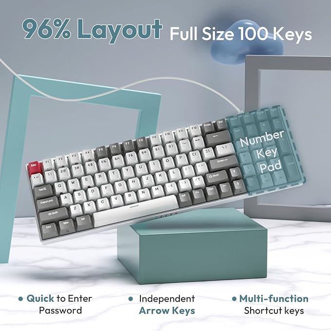 RK ROYAL KLUDGE RK100 Wireless Mechanical Keyboard RGB Backlit Bluetooth5.1/2.4G/Wired 96% Full Size 100-Key Hot Swappable Gaming Keyboard Brown Switch Carbon
